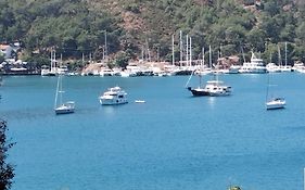 Duygu Apart